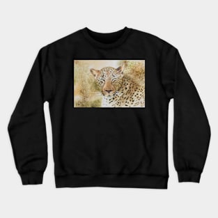 Leopards Gaze Crewneck Sweatshirt